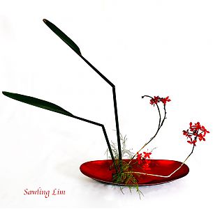 Sawling Lim 