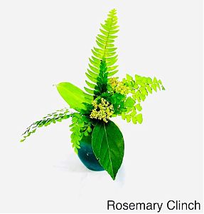 Rosemary Clinch