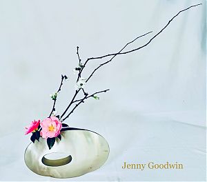 Jenny Goodwin 