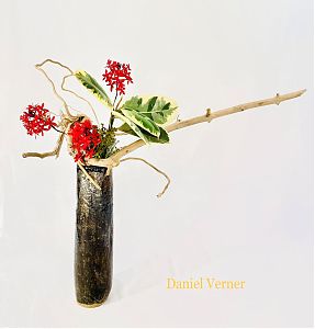 Daniel Verner