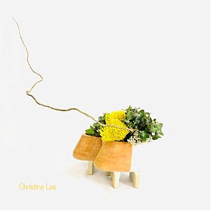 Christine Lee